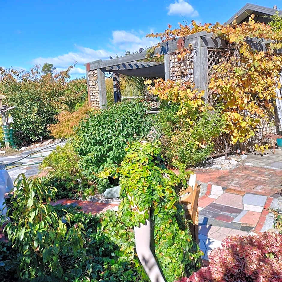 Redwood Valley B & B