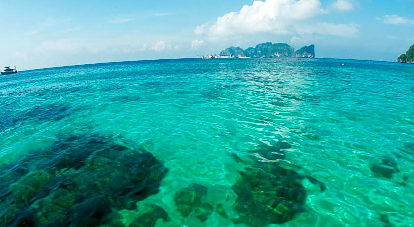 Twin Palms hostel Phi Phi