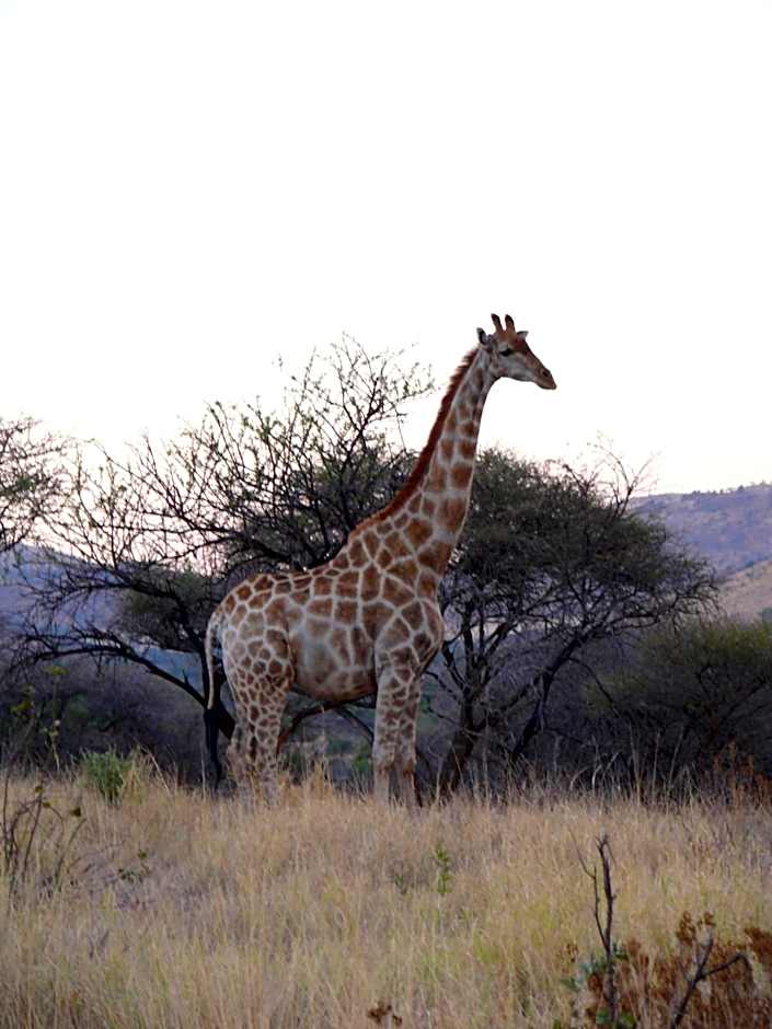 Morokolo Safari Lodge Self-catering