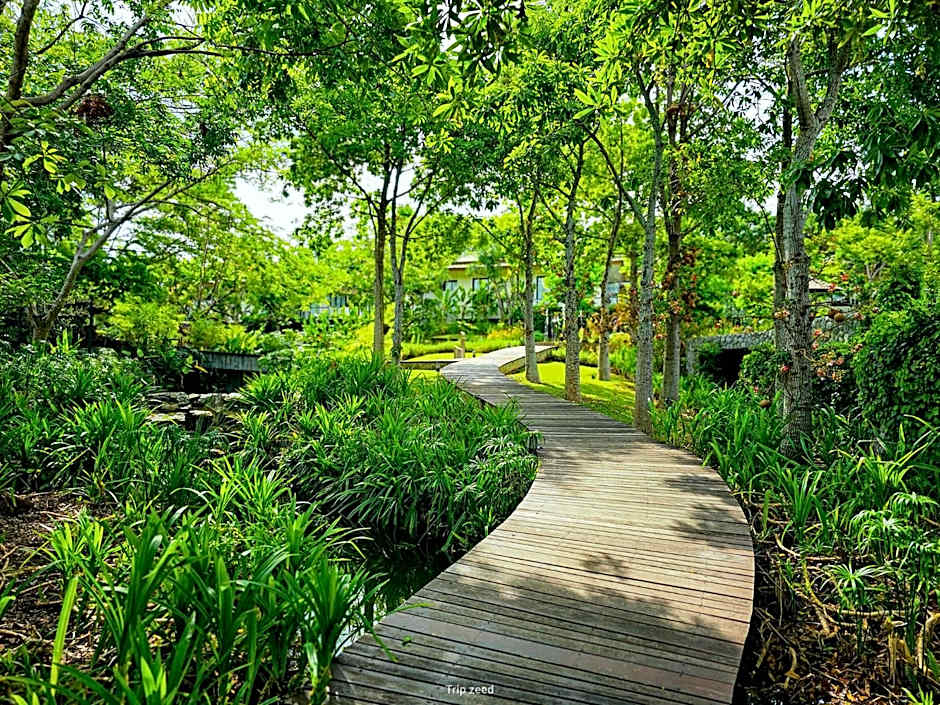 Vivace Khaoyai