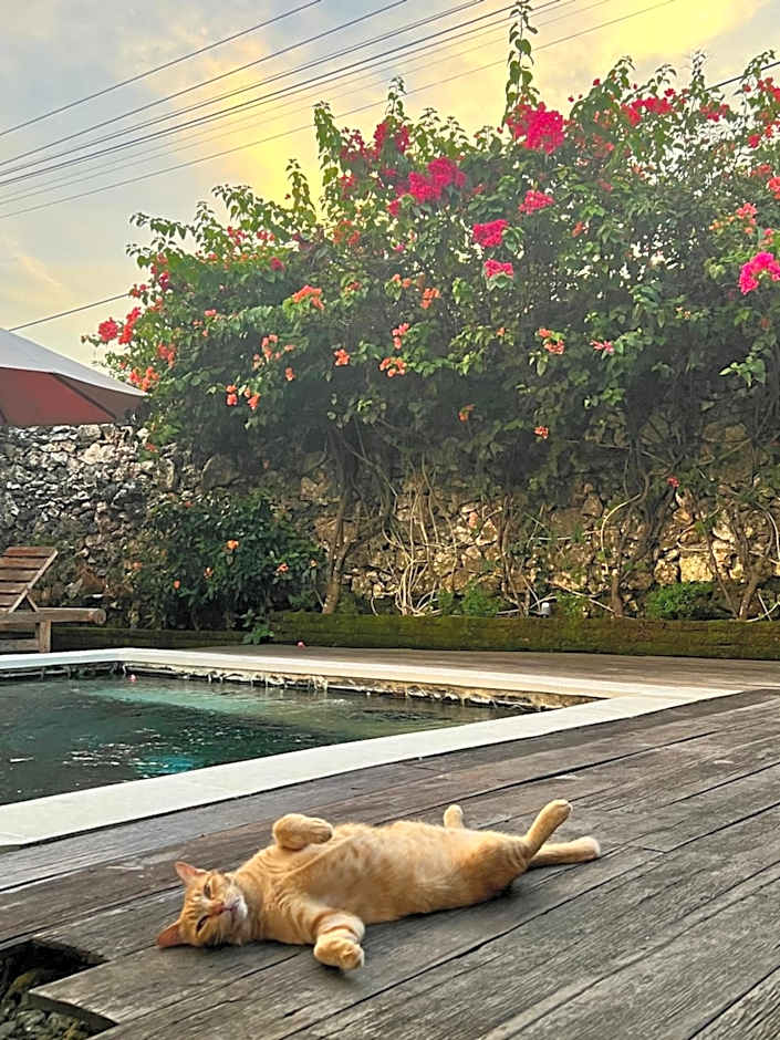Pinokkio Bed and Breakfast