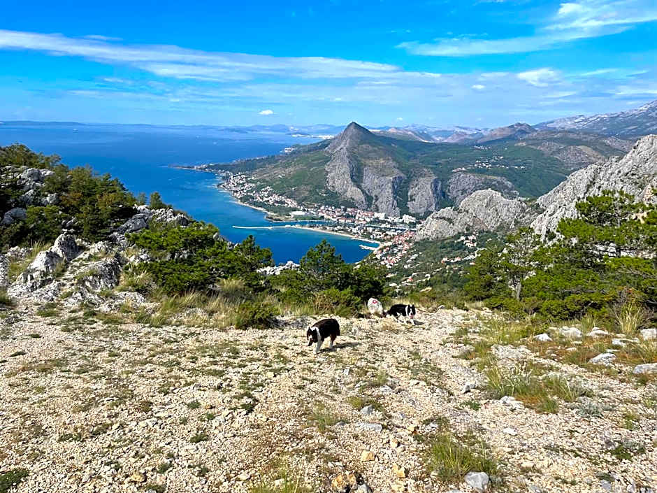 Hostel & Private Rooms Dalmatia