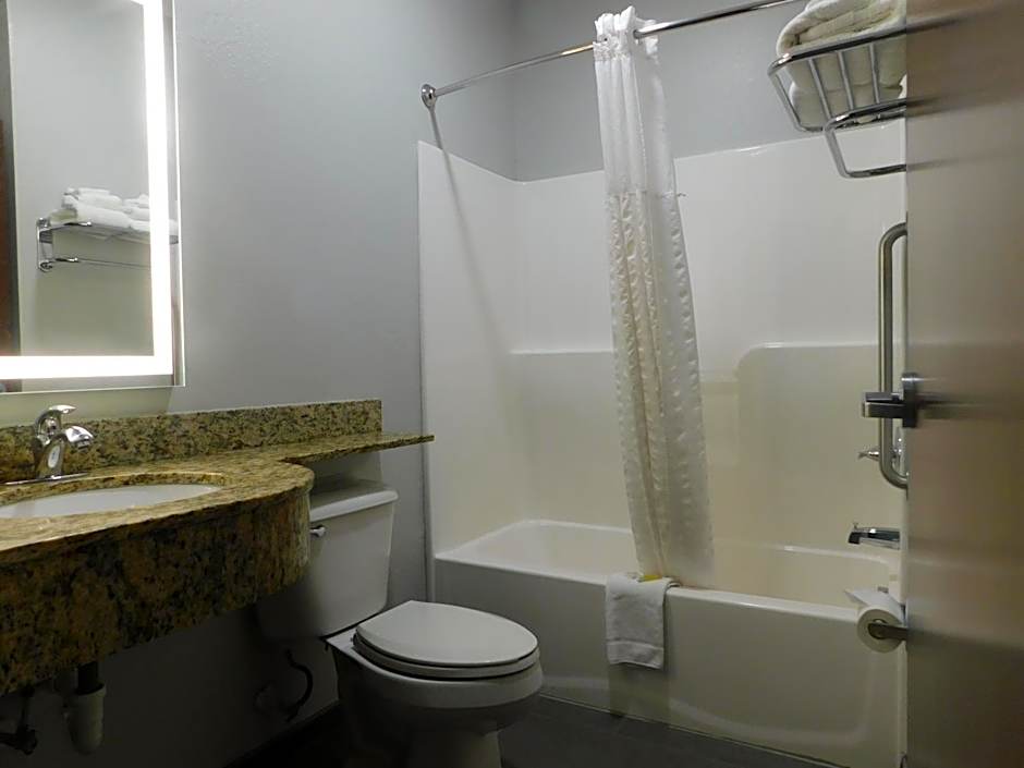 Microtel Inn & Suites - Triadelphia