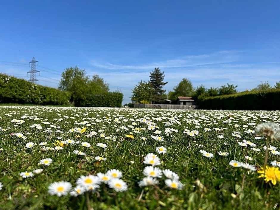 Mr Hares shepherd hut