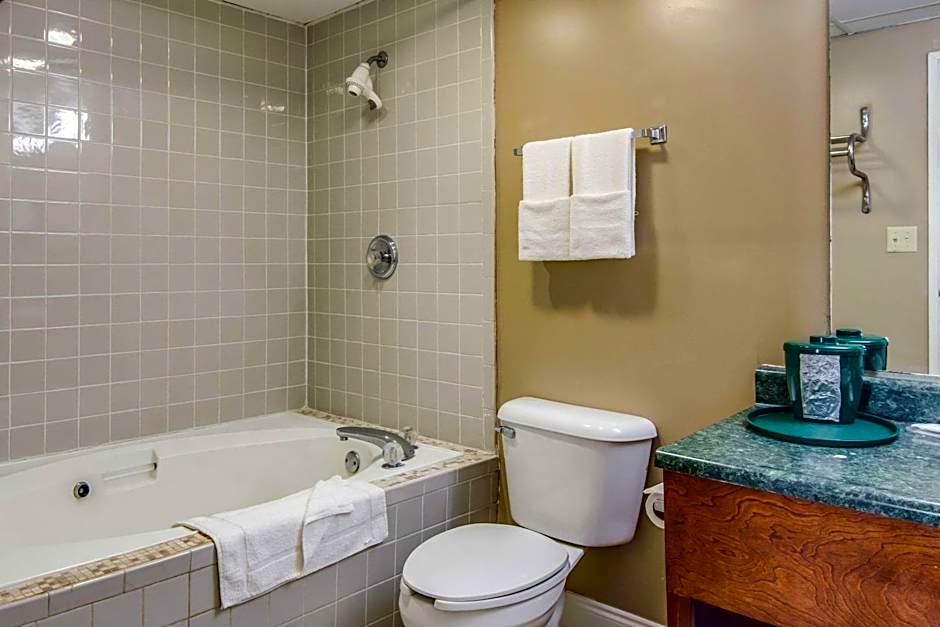 Rodeway Inn & Suites Dublin