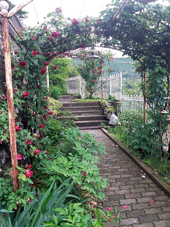 Novecento Bed & Breakfast – Bollengo, NY