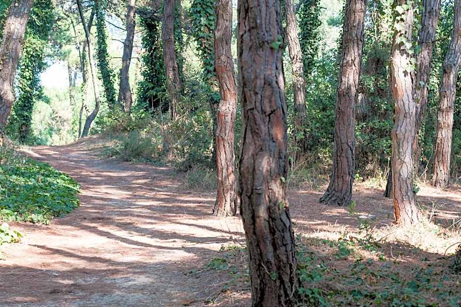 Regina Hotel e Ristorante