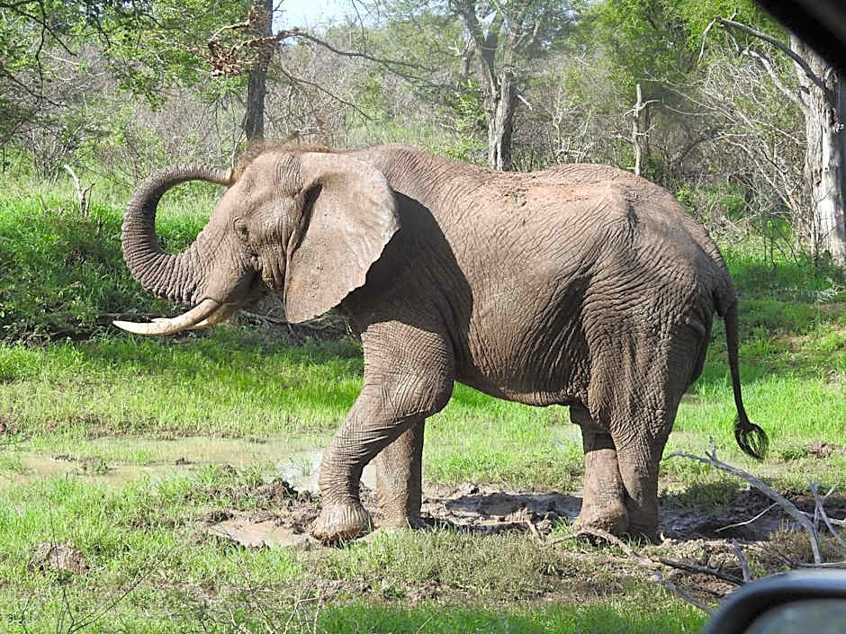 Khululeka Safaris Lodge