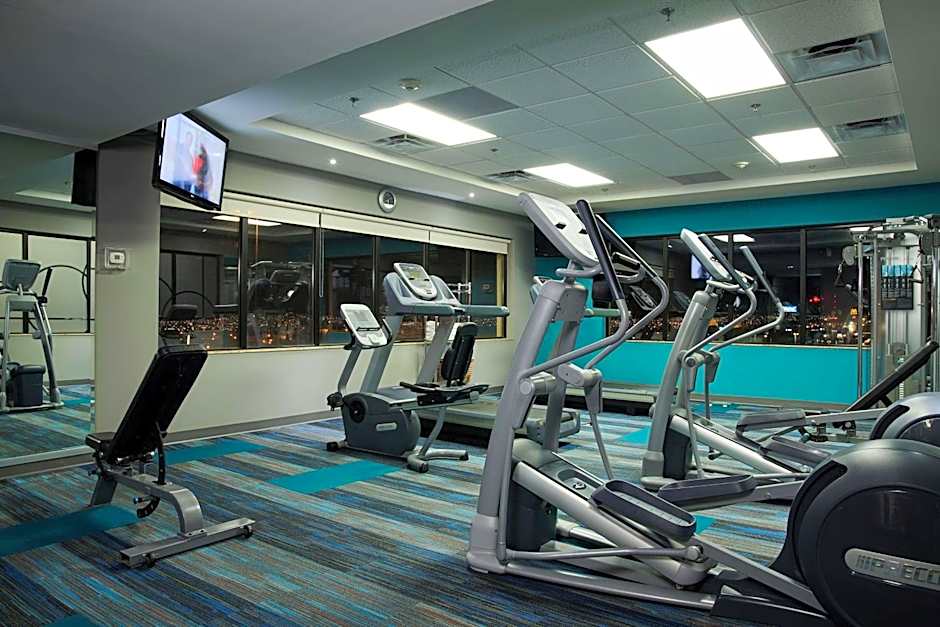 Wingate by Wyndham Chihuahua