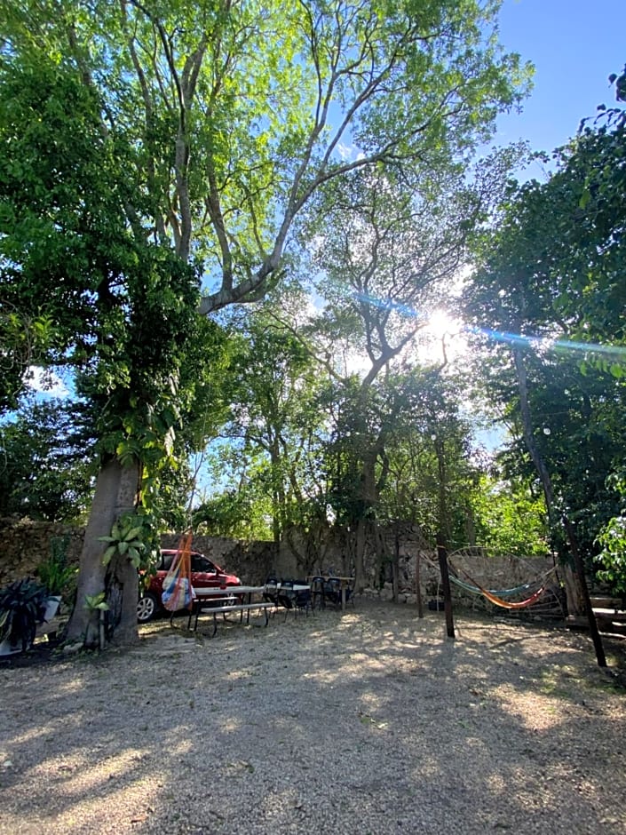XIINBAL BEDS