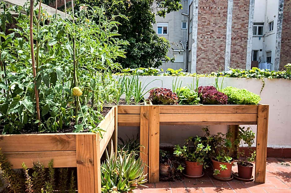 Residencia Albergue Studio