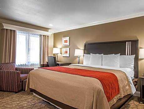 1 King Bed, Nonsmoking
