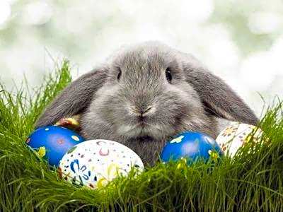 The Pearls of Umhlanga, or Oceans Apts