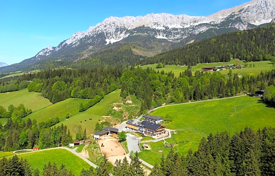 Bauernhof Haflingertränke