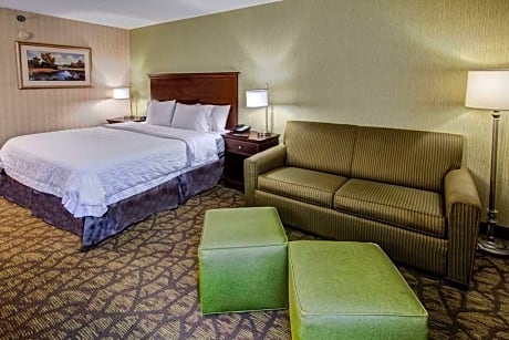 1 King Bed Study With Sofabed Smoking