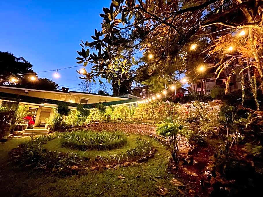 Mid-Century Modern Centrally Located Garden Oasis