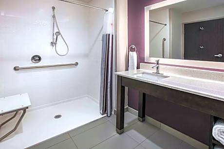 King Room with Bath Tub - Mobility Accessible/Non-Smoking
