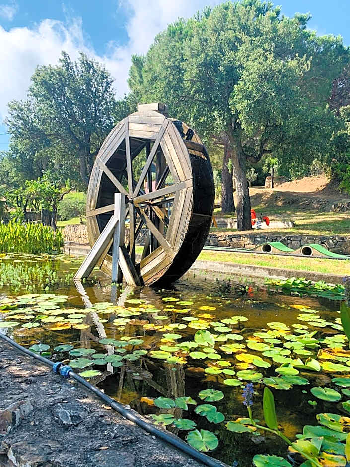 Résidence U Pirellu