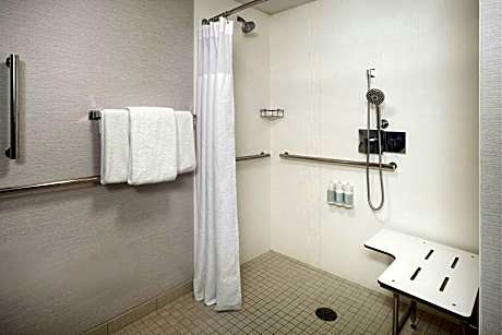 Room, 1 King Bed with Sofa bed, Balcony (Mobility/Hearing Access, Roll-In Shwr)