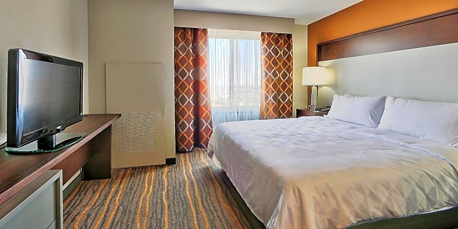Holiday Inn Hotel and Suites Albuquerque - North Interstate 25