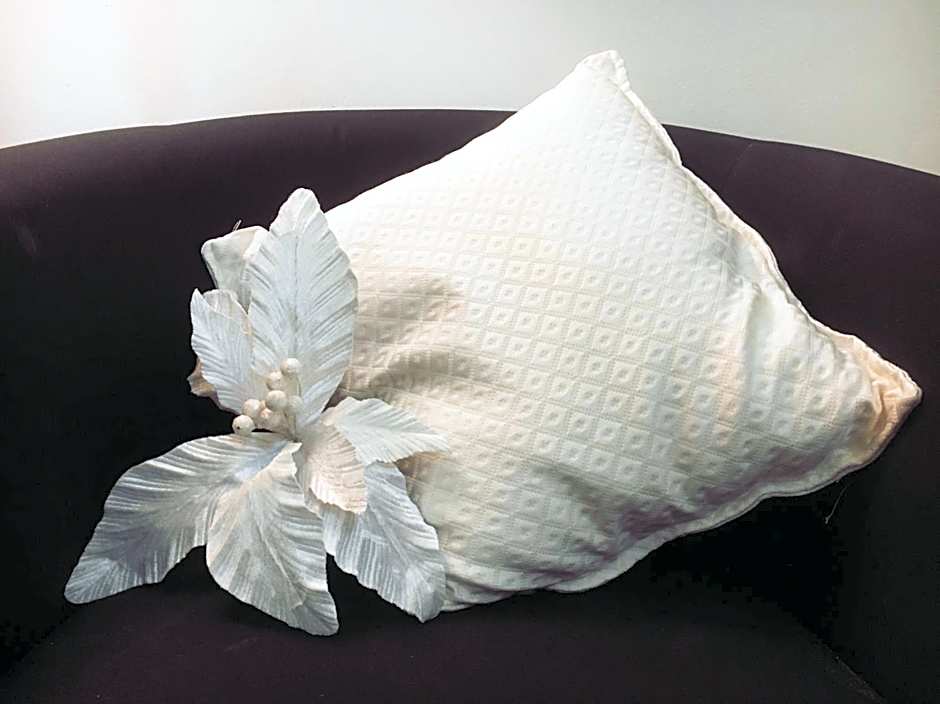 Alla Luce del Barocco