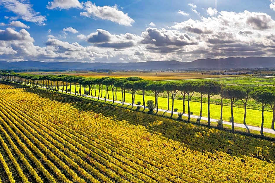 CSA Hotel Beach & Park