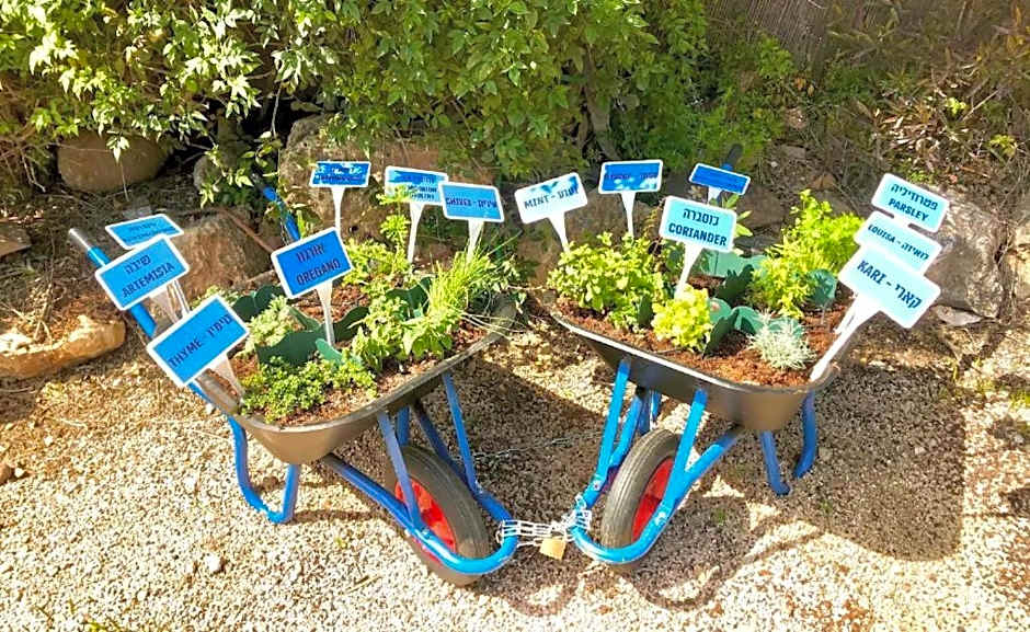 Magical in the Galilee