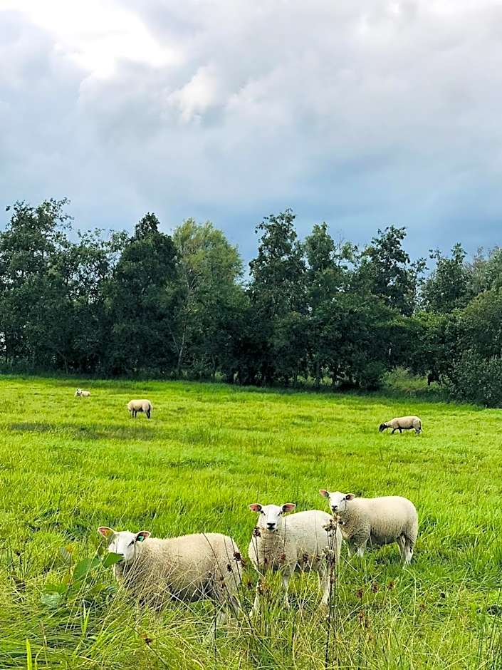 De Dames Van De Jonge Hotel Restaurant