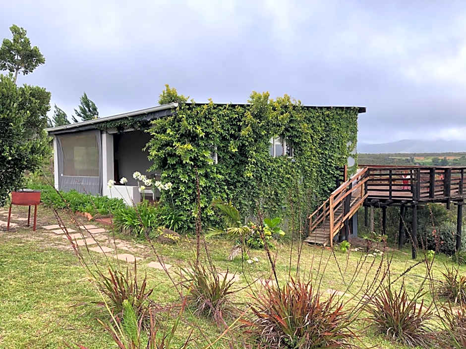 Rainforest Ridge Eco Resort