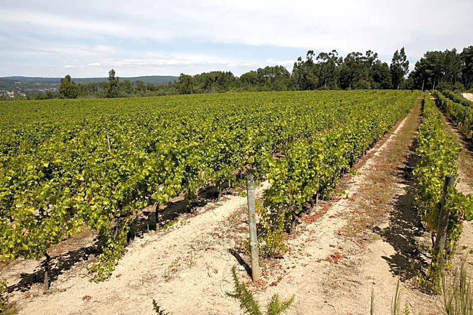 Parador Casa Da Insua