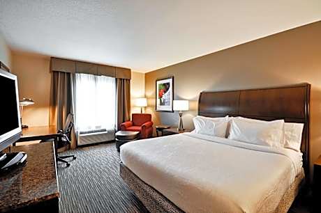 One-Bedroom King Suite with Sofa Bed