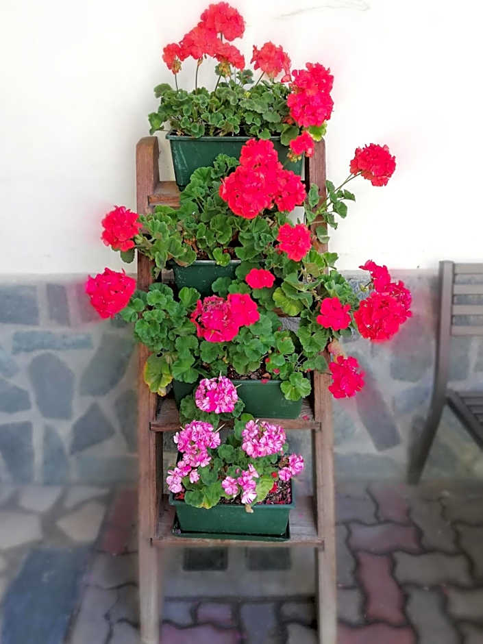 Garni Delia