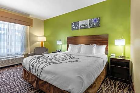 1 King Bed, Smoking Room