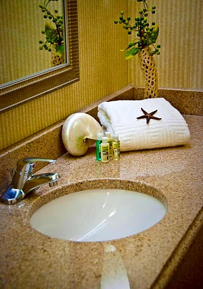 Holiday Inn Arlington at Ballston By IHG