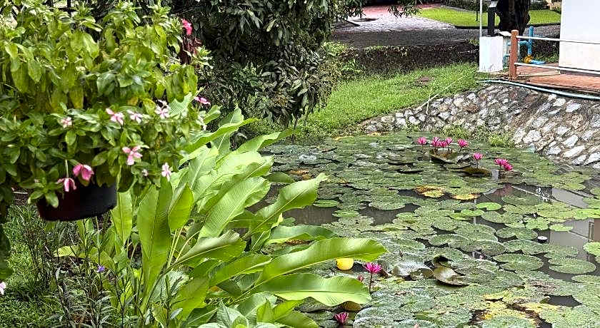 Saku Boutique Homestay