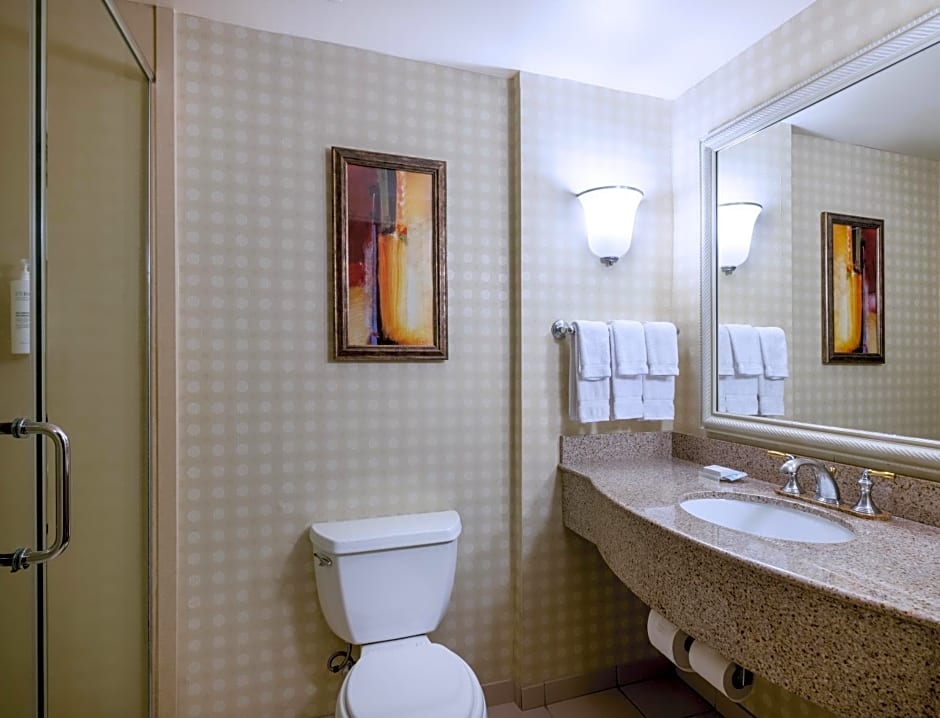 Hilton Garden Inn Las Vegas Strip South