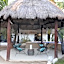 Mayan Mittoz