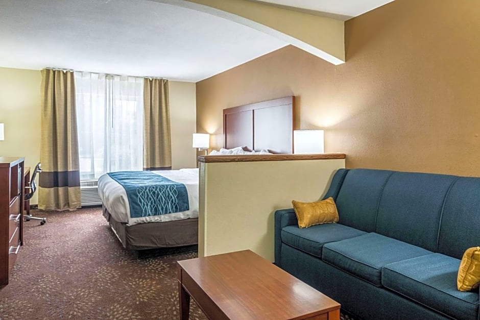 Comfort Inn & Suites - Hannibal