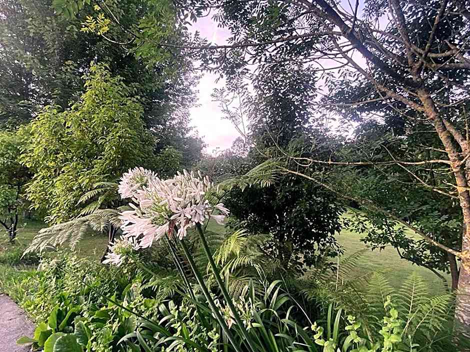 CAEaCLAVELES