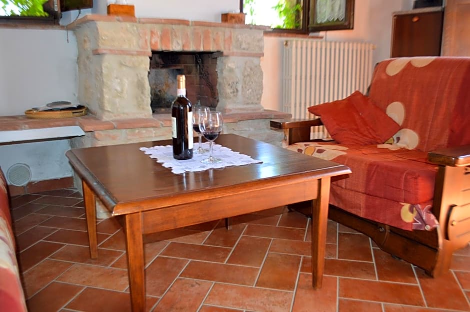 Holidays in apartment with swimming pool in Tuscany Siena