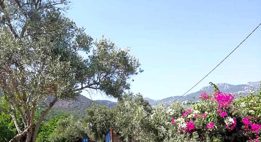 Bahar Bahce Datca