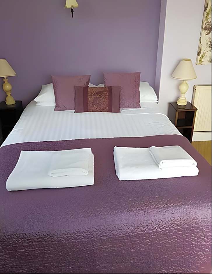 The Moelwyn Hotel & Restaurant