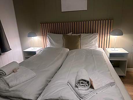 Large Double or Twin Room