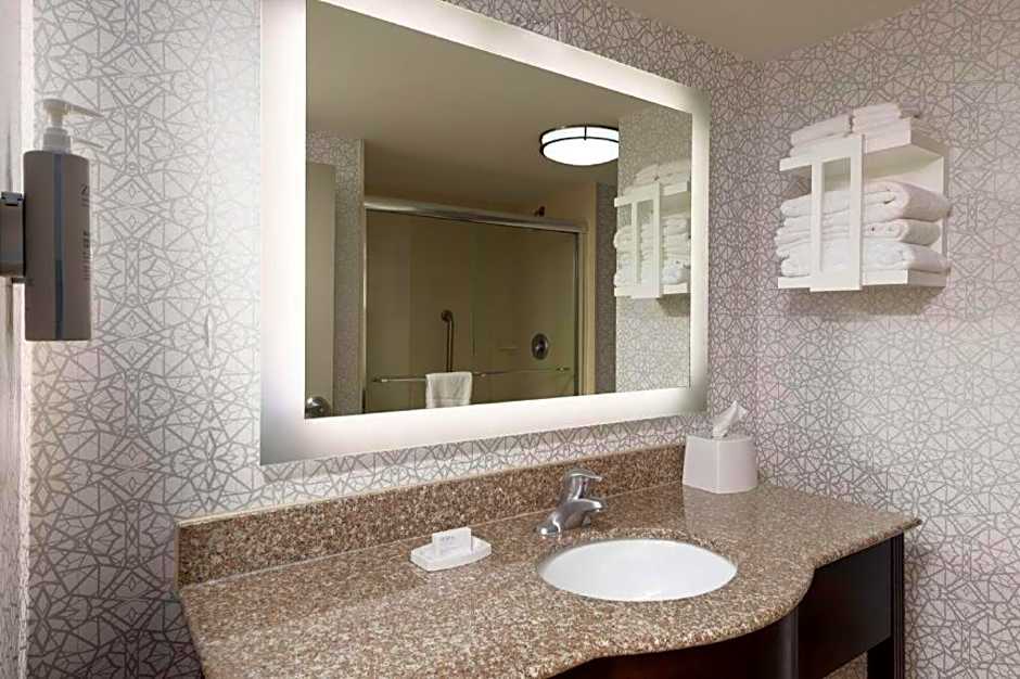 Hampton Inn By Hilton And Suites Savannah-Airport