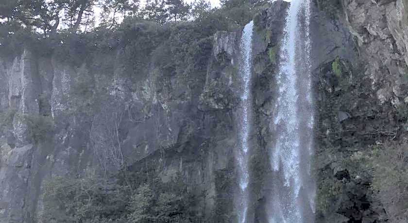 Dreaming Forest Pension