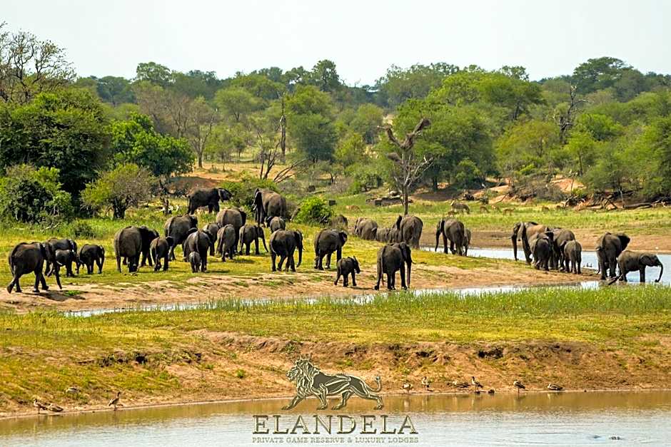 Elandela Private Game Reserve and Luxury Lodges Pty Ltd