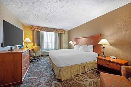 King Room - Non-Smoking