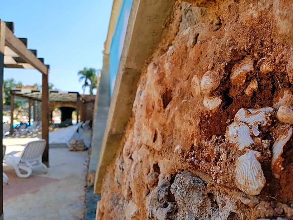 Tenute Albano Carrisi