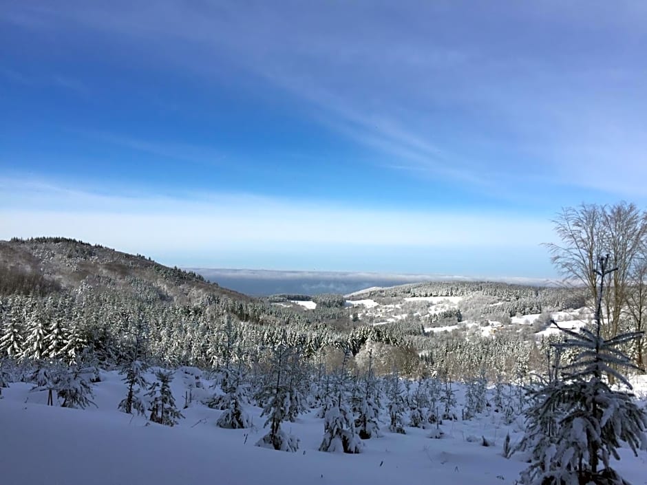 Au Vieux Logis 63