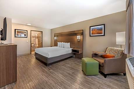 King Room with Roll-in Shower - Disability Access/Non-Smoking